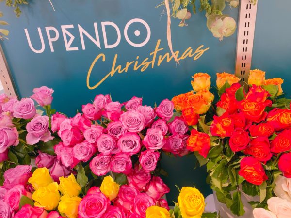 西武池袋本店で アフリカのバラ を購入 期間限定のクリスマスイベント プレゼントで世界を変える